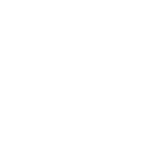 中碳能源